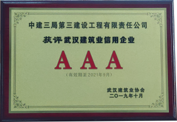武汉建筑业信用企业AAA奖牌.png