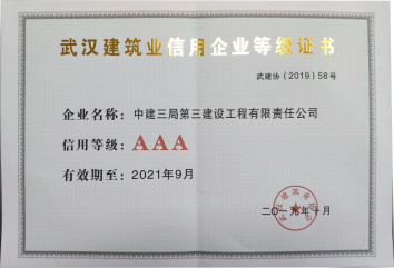 武汉建筑业信用企业AAA等级证书.png