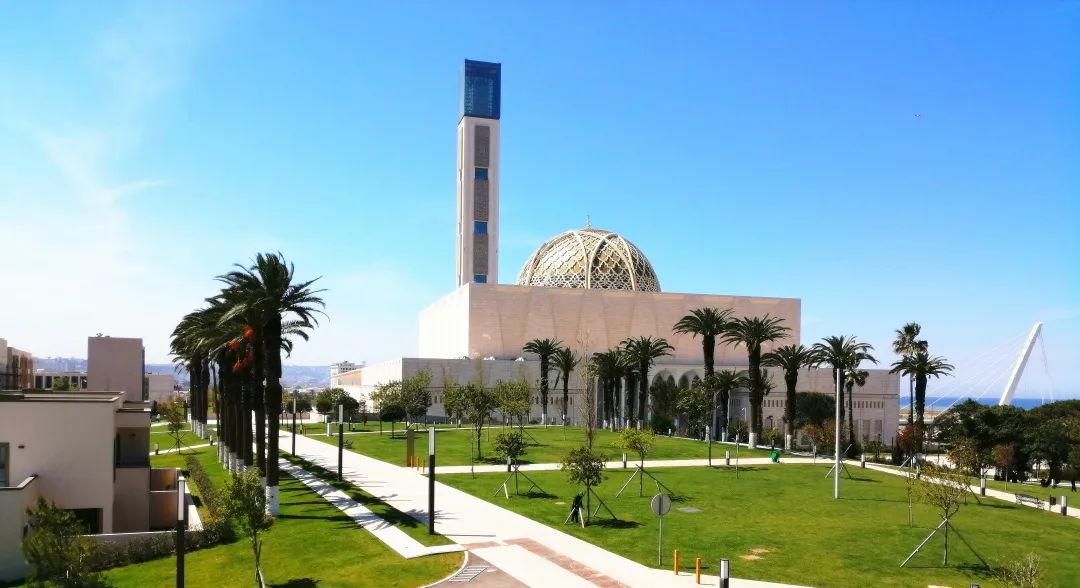 7.12 震撼！“中建三局造”建证阿尔及利亚60周年阅兵庆典3.jpg