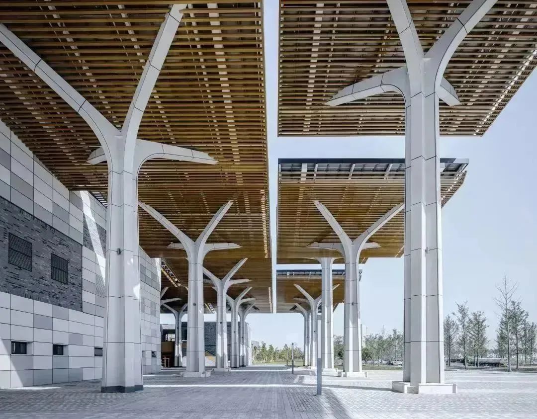 2.20 宜都市民活动中心（会展中心）斩获柏林设计奖！6.jpg