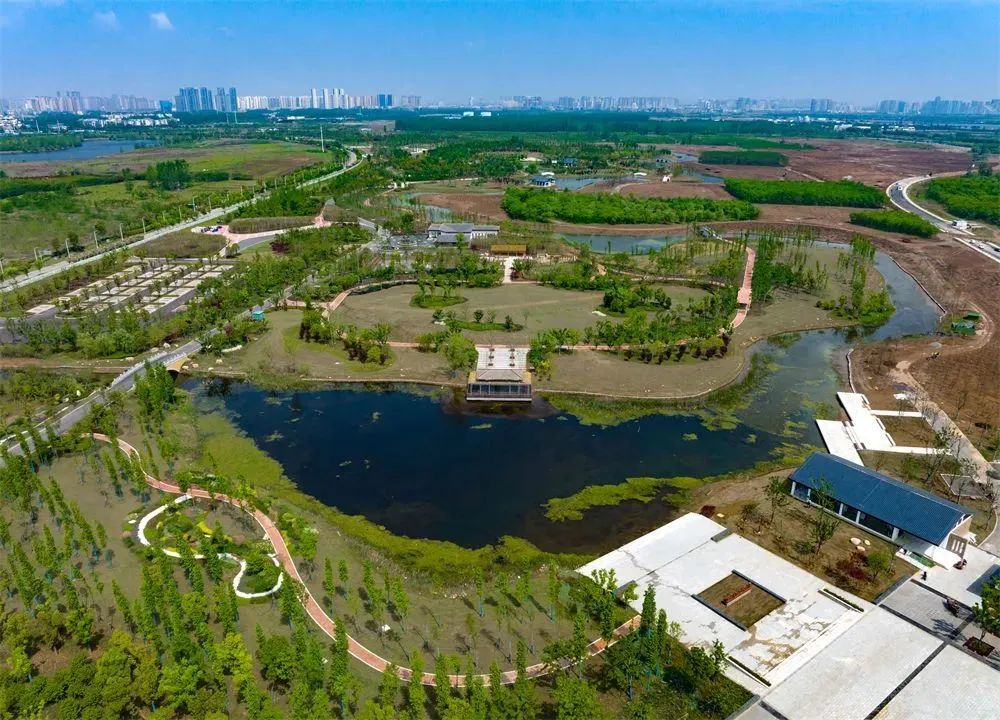 4.27 “植”此青绿,公司匠心助力江中沙洲“蝶变”绿色生态公园.jpg 4.27 “植”此青绿,公司匠心助力江中沙洲“蝶变”绿色生态公园.jpg