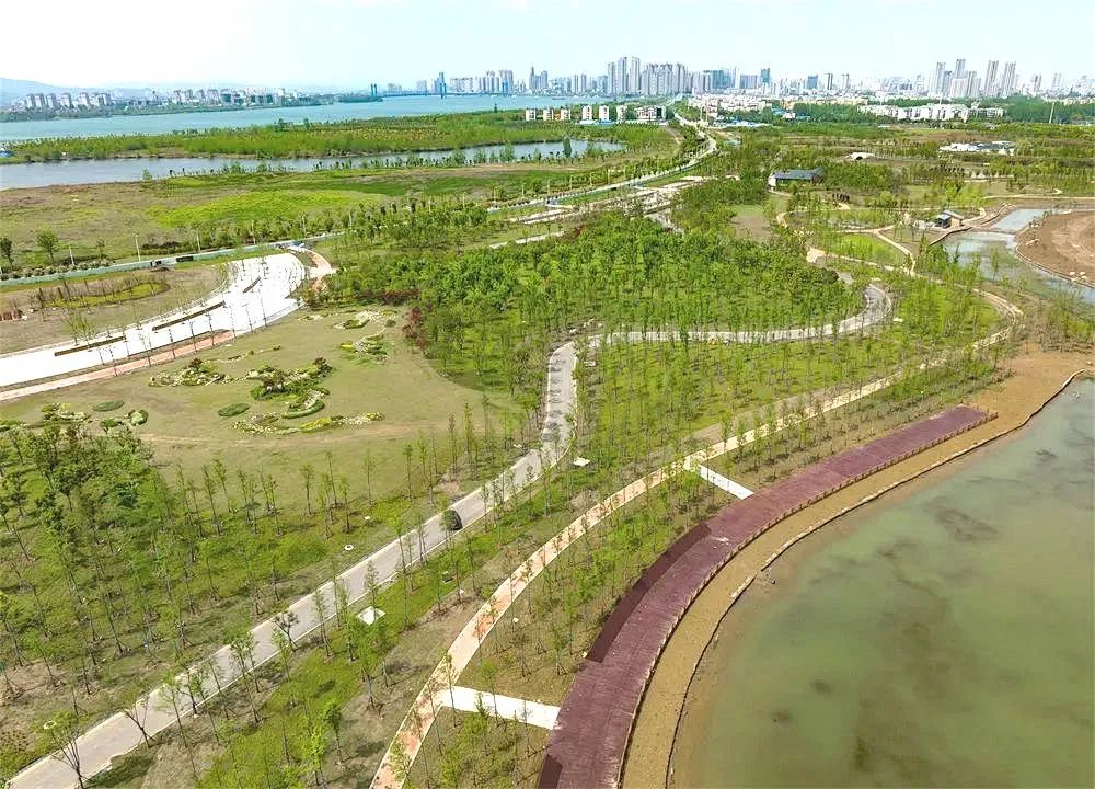 4.27 “植”此青绿,公司匠心助力江中沙洲“蝶变”绿色生态公园4.jpg 4.27 “植”此青绿,公司匠心助力江中沙洲“蝶变”绿色生态公园4.jpg