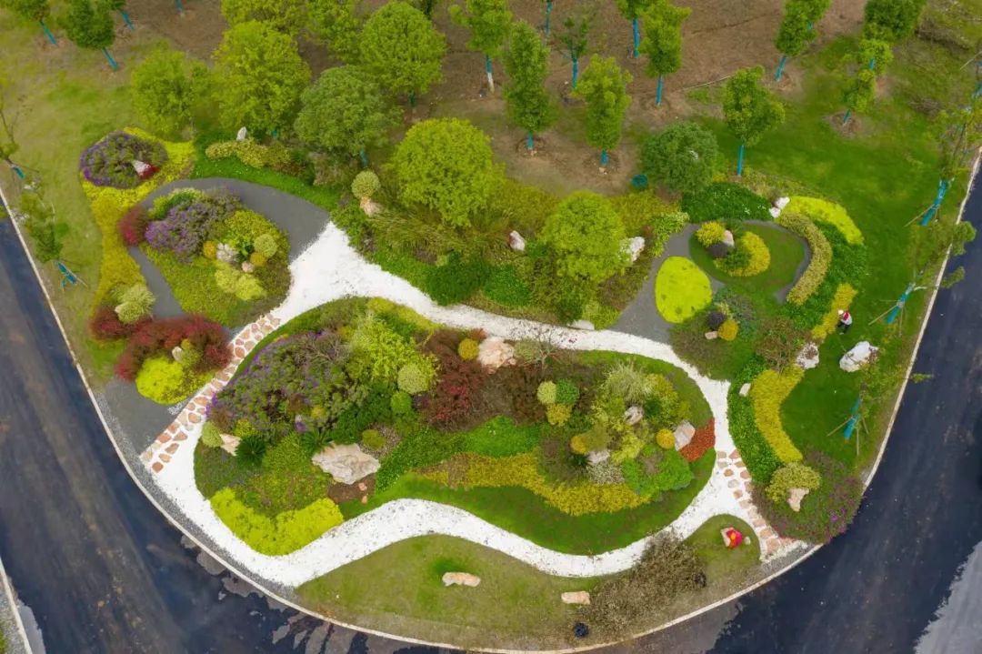 4.27 “植”此青绿,公司匠心助力江中沙洲“蝶变”绿色生态公园5.jpg 4.27 “植”此青绿,公司匠心助力江中沙洲“蝶变”绿色生态公园5.jpg